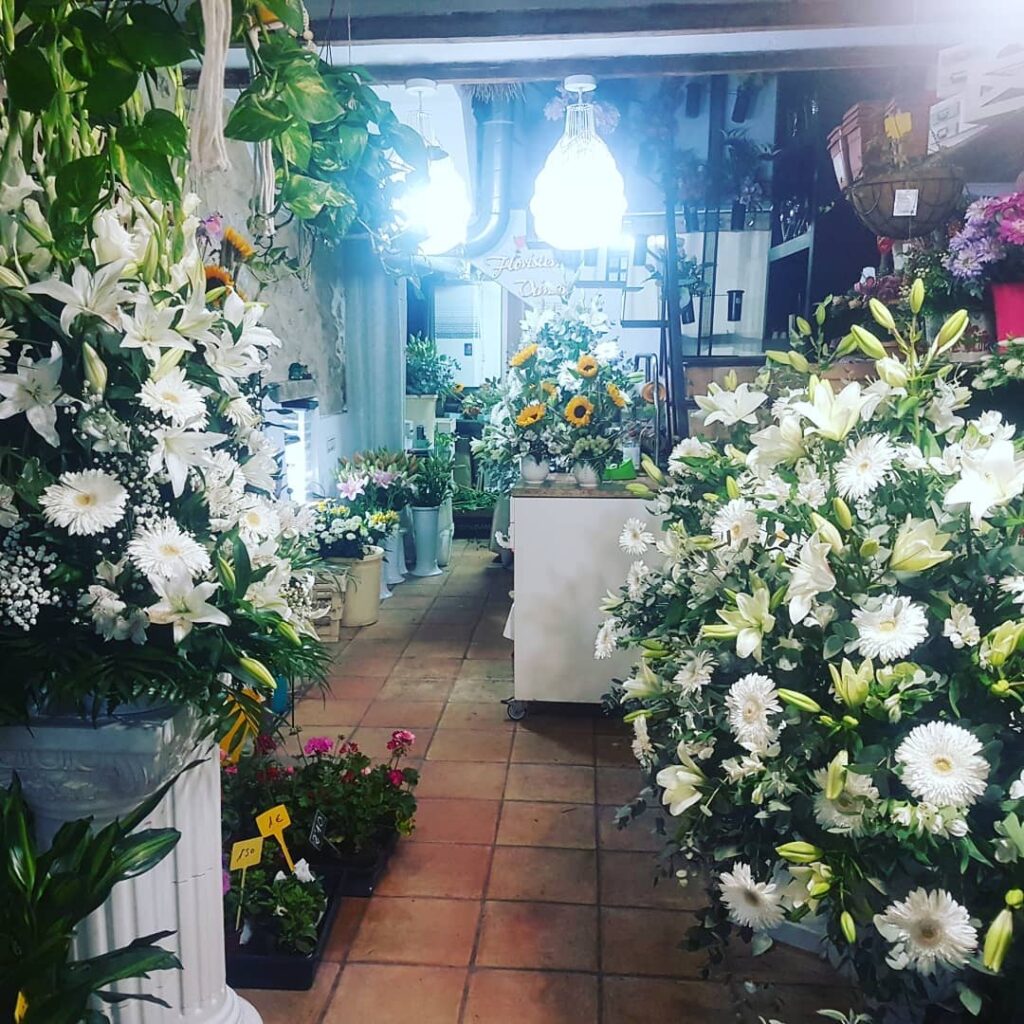 Floristería Vimar